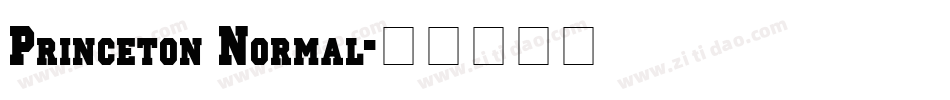 Princeton Normal字体转换